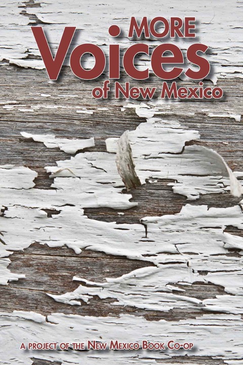VoicesIII-cover-sm